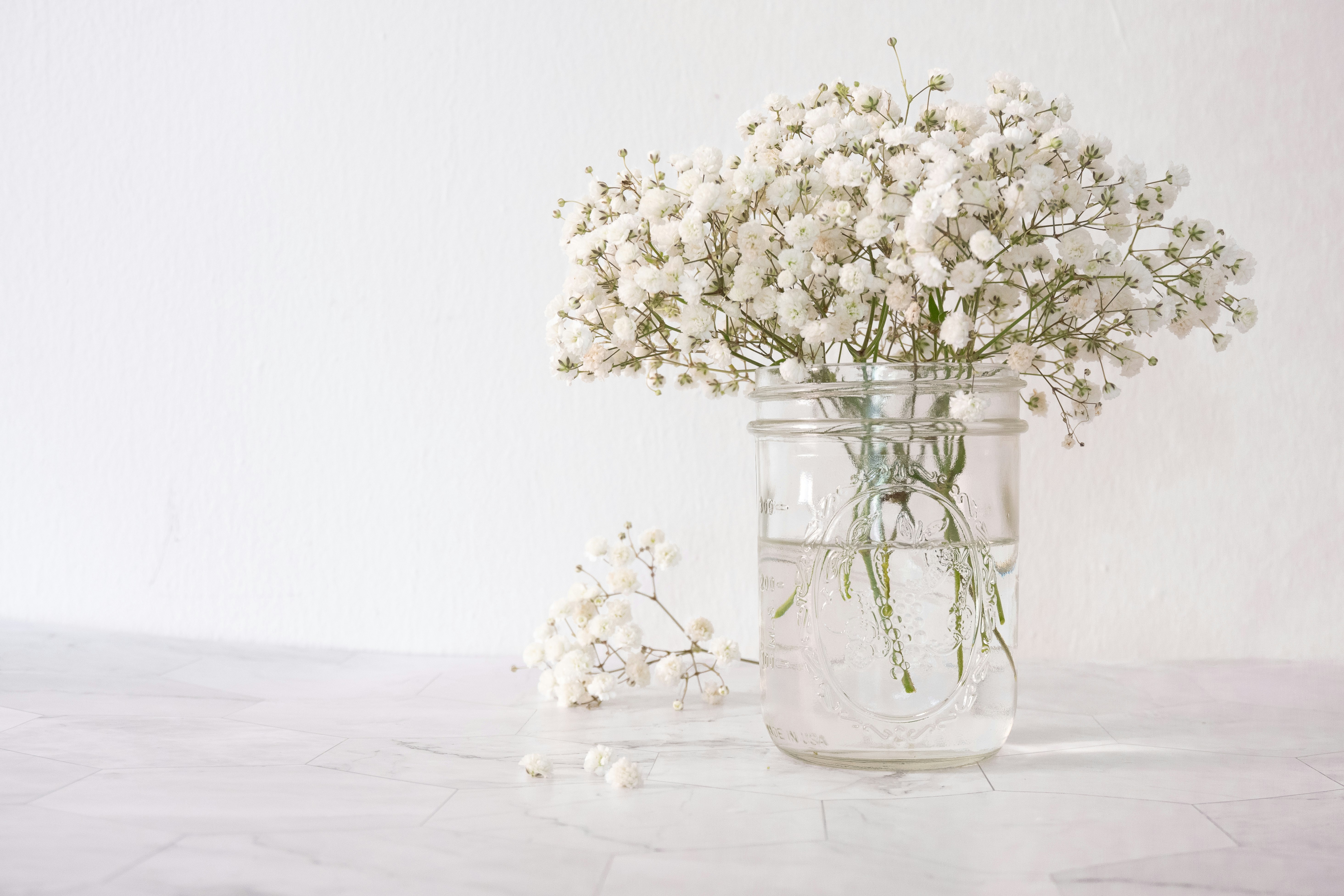 white flowers in clear glass vase